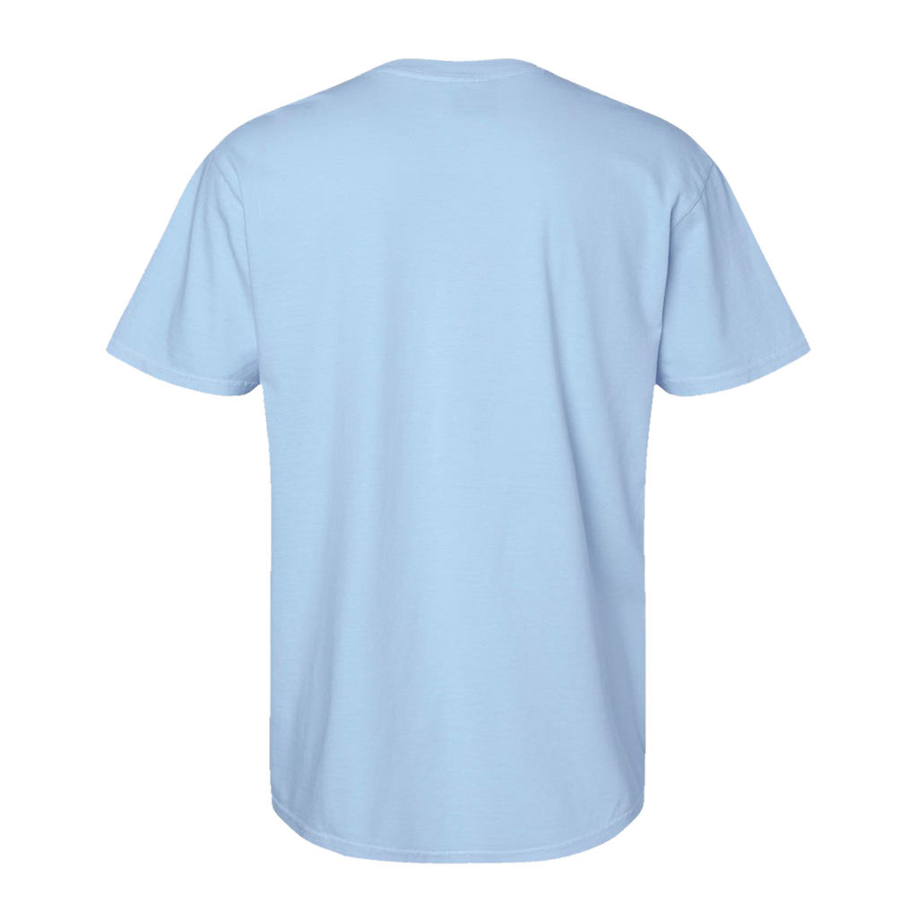 Small Hydrangea JazzFest UH5 